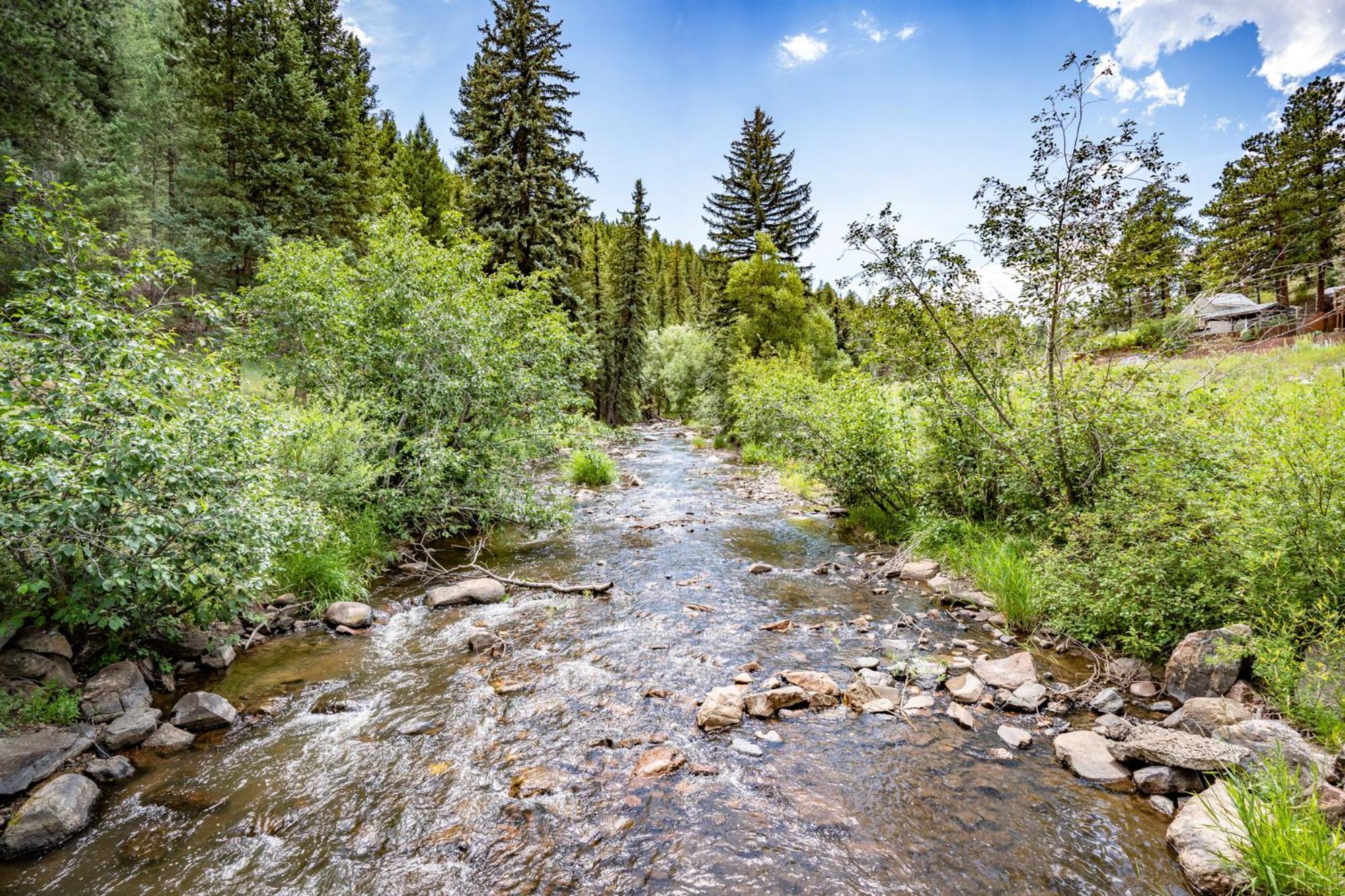 Colorado Bear Creek Cabins Evergreen Ruang foto